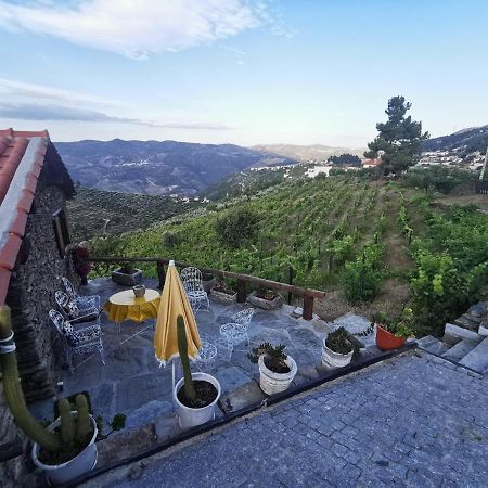 Casa Da Vinha Em Tabuaco - Douro Villa Eksteriør billede