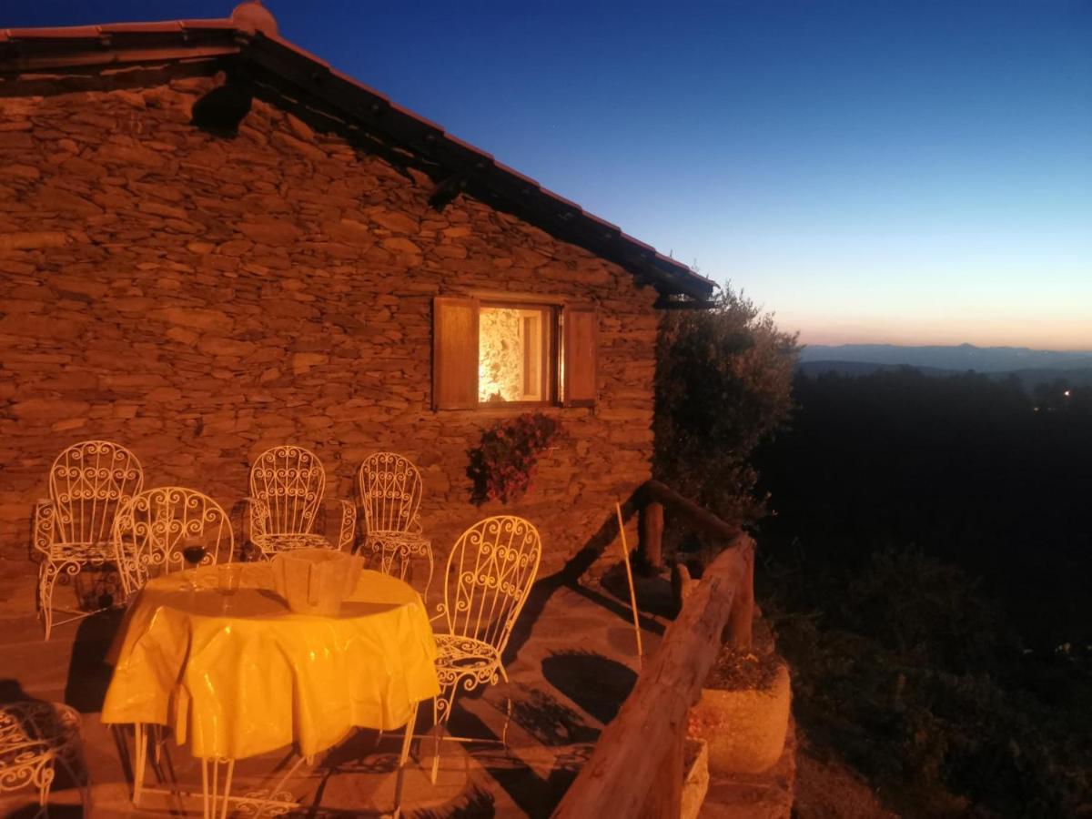 Casa Da Vinha Em Tabuaco - Douro Villa Eksteriør billede