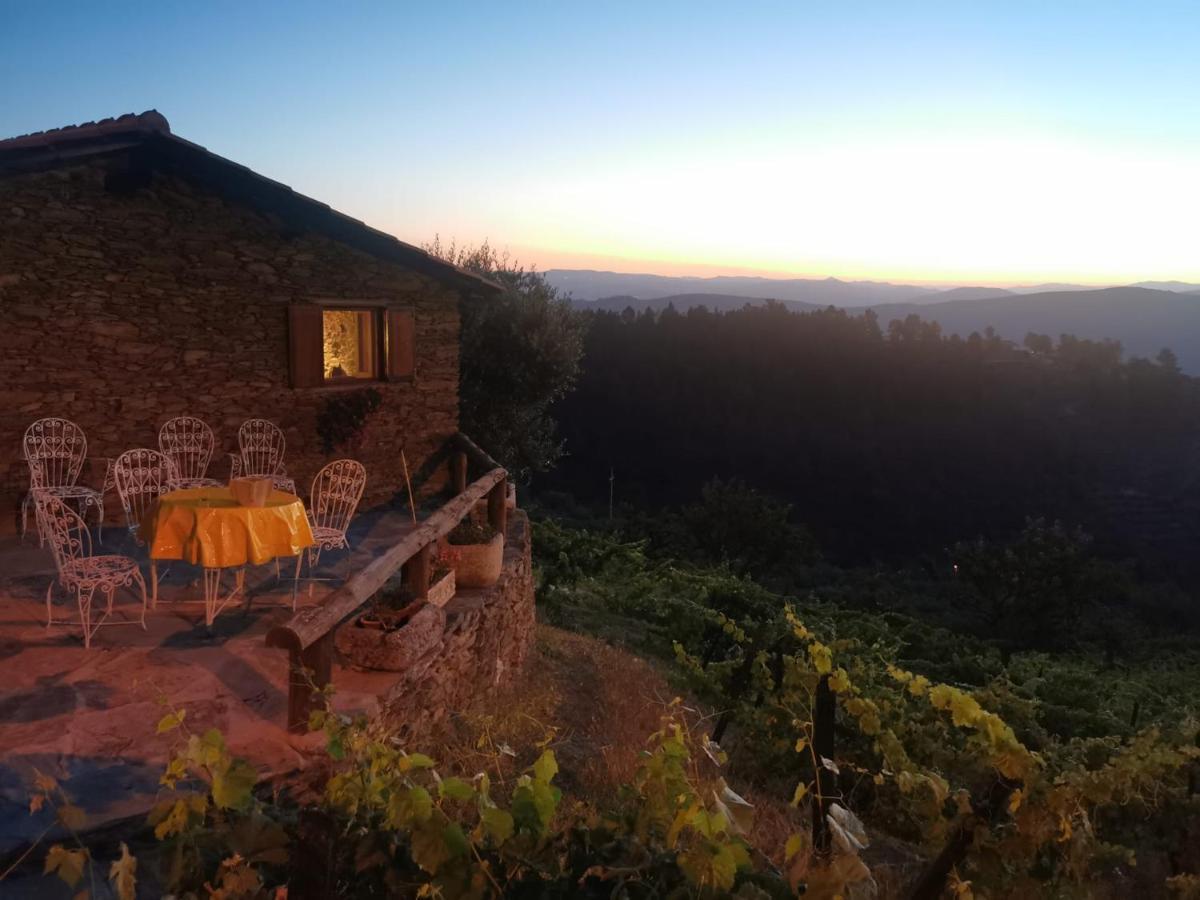 Casa Da Vinha Em Tabuaco - Douro Villa Eksteriør billede