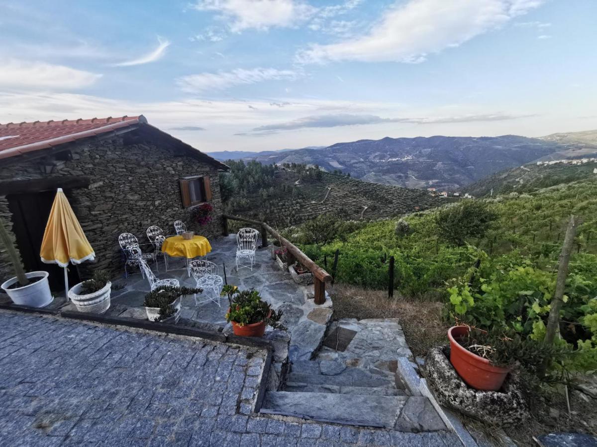 Casa Da Vinha Em Tabuaco - Douro Villa Eksteriør billede