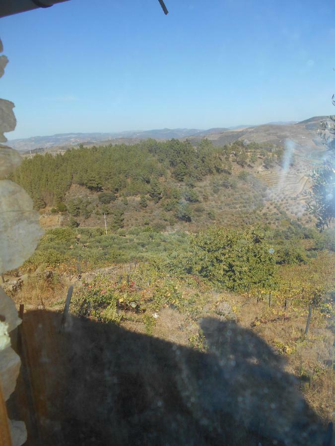 Casa Da Vinha Em Tabuaco - Douro Villa Eksteriør billede