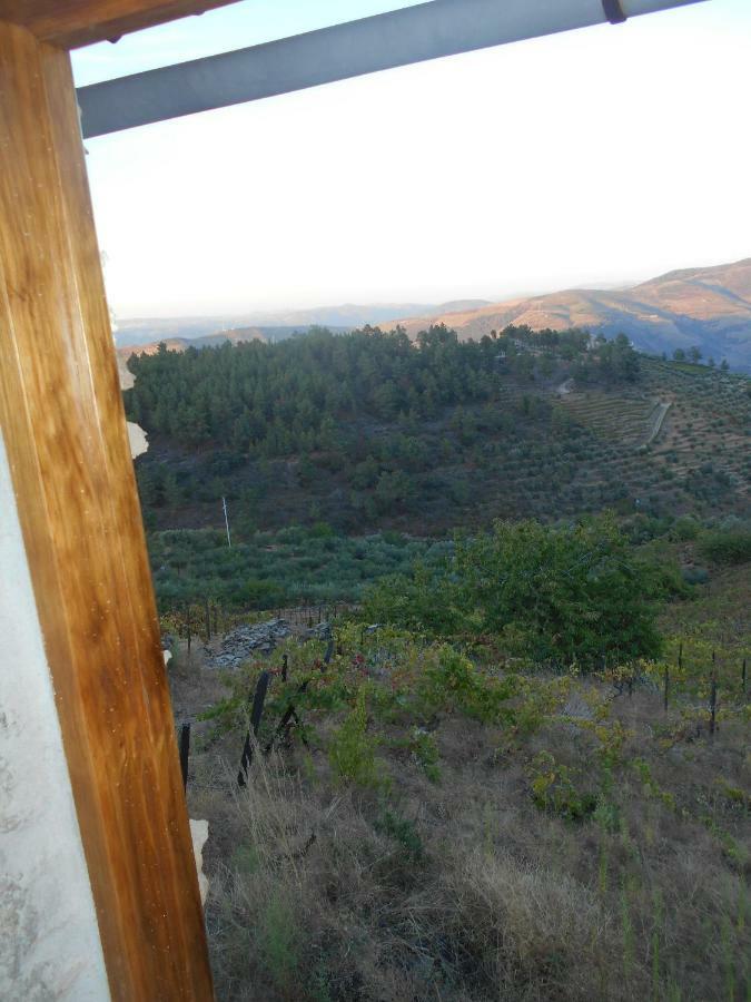 Casa Da Vinha Em Tabuaco - Douro Villa Eksteriør billede