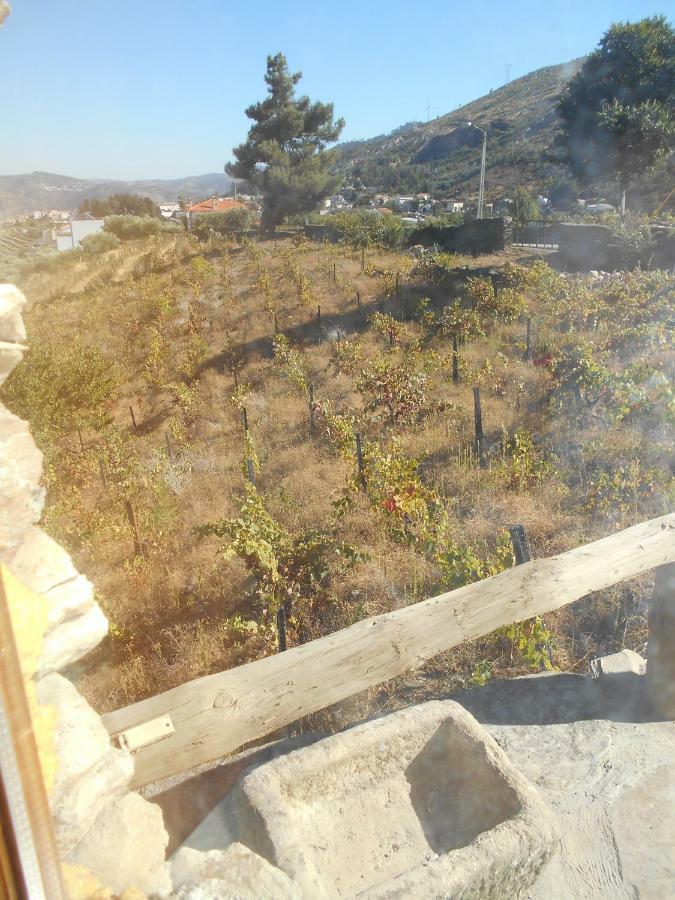 Casa Da Vinha Em Tabuaco - Douro Villa Eksteriør billede