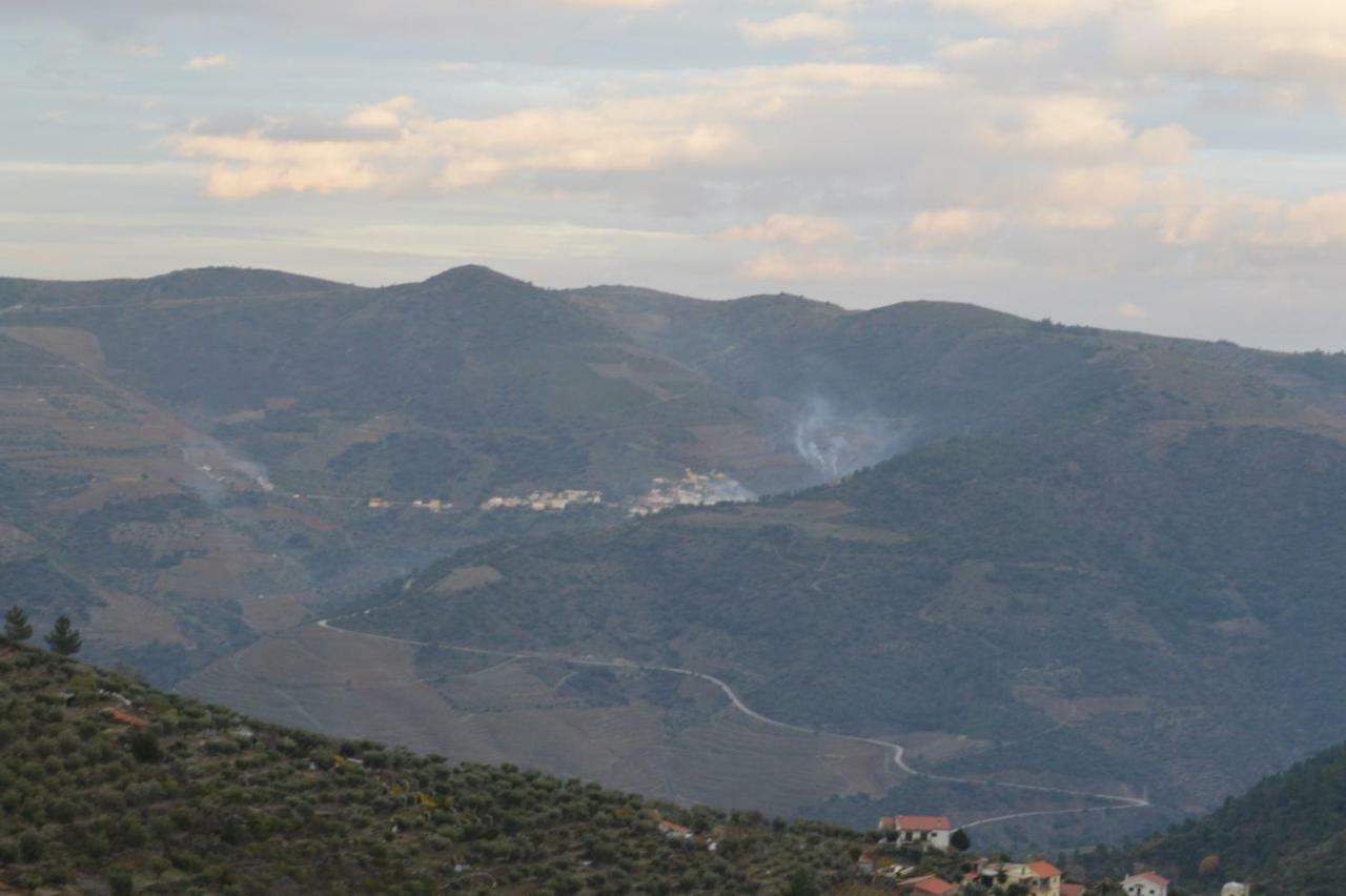 Casa Da Vinha Em Tabuaco - Douro Villa Eksteriør billede