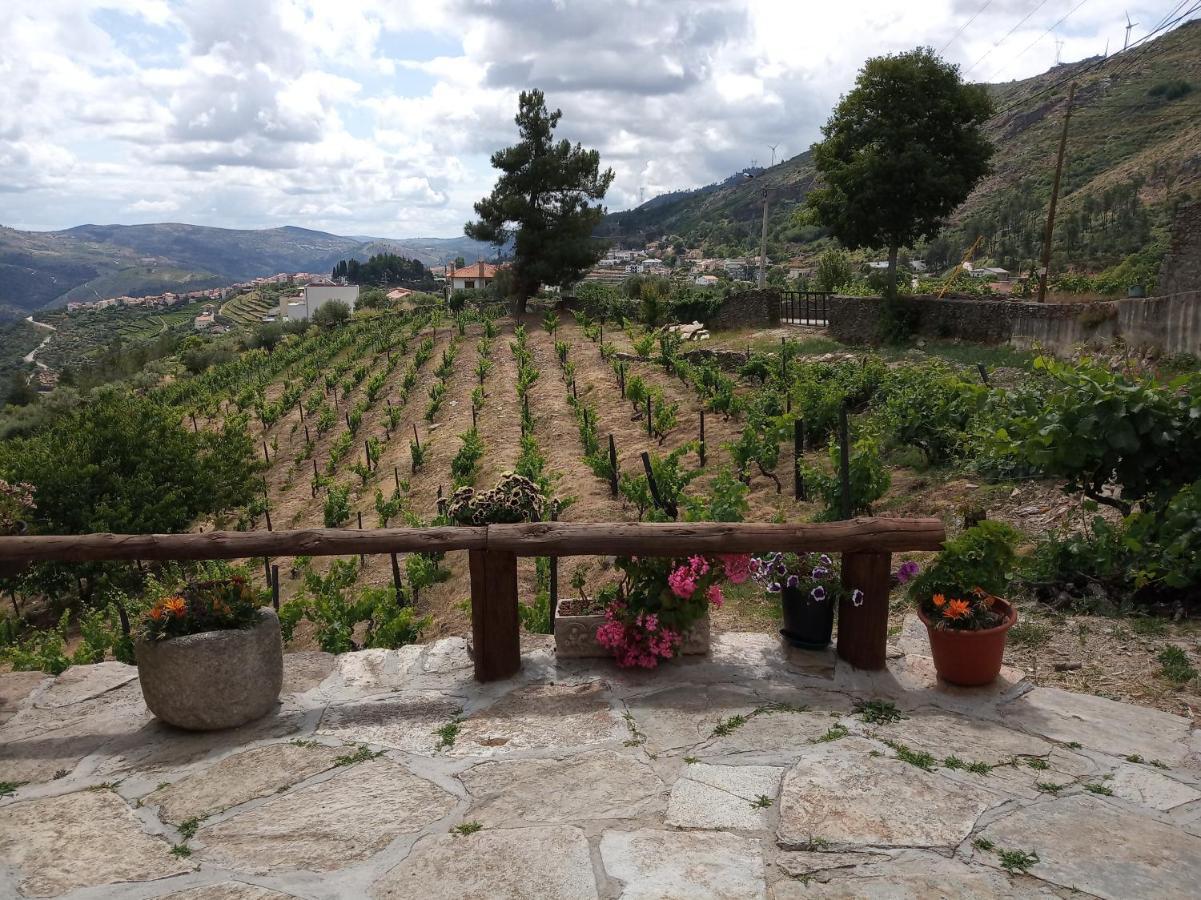 Casa Da Vinha Em Tabuaco - Douro Villa Eksteriør billede